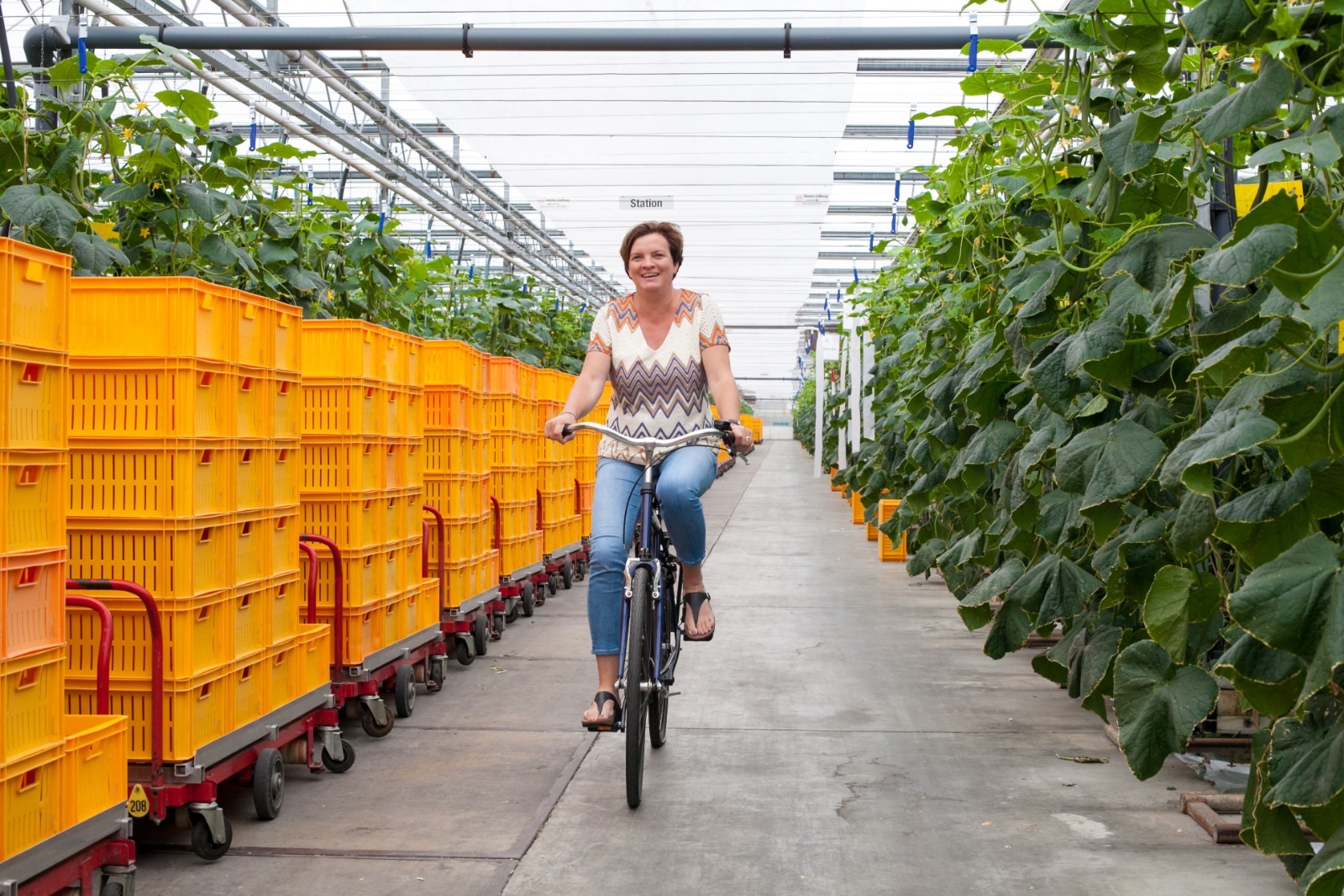 Janine fietst met de oogstkar door de kas